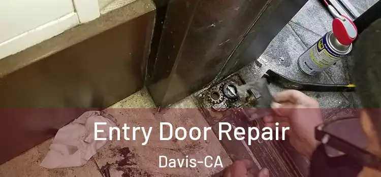  Entry Door Repair Davis-CA